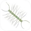 App Phytoplankton, Plankton