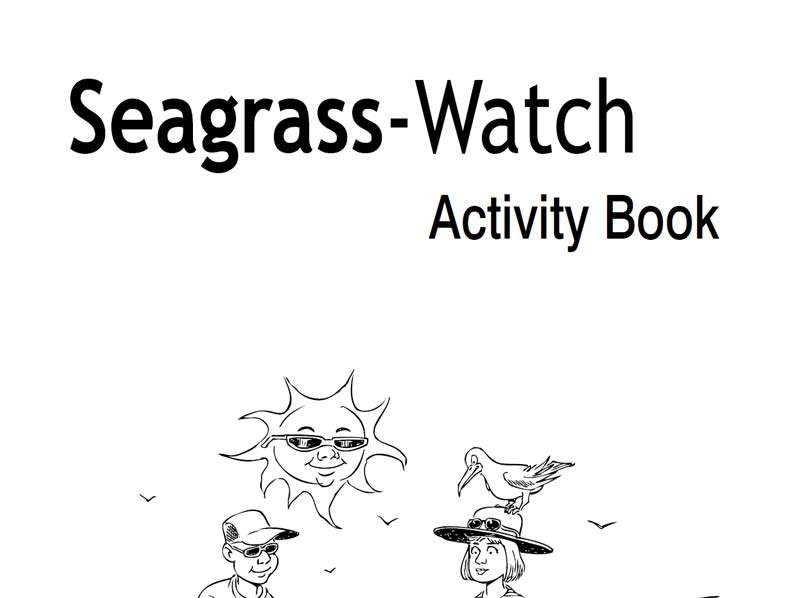 Seagrass