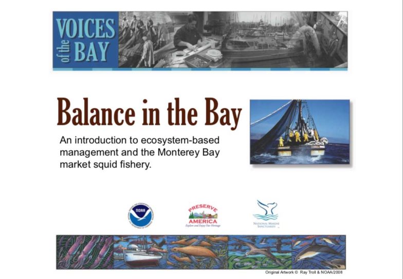 Sustainable fishing game balance in the bay