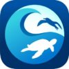 App International Coastal Cleanup