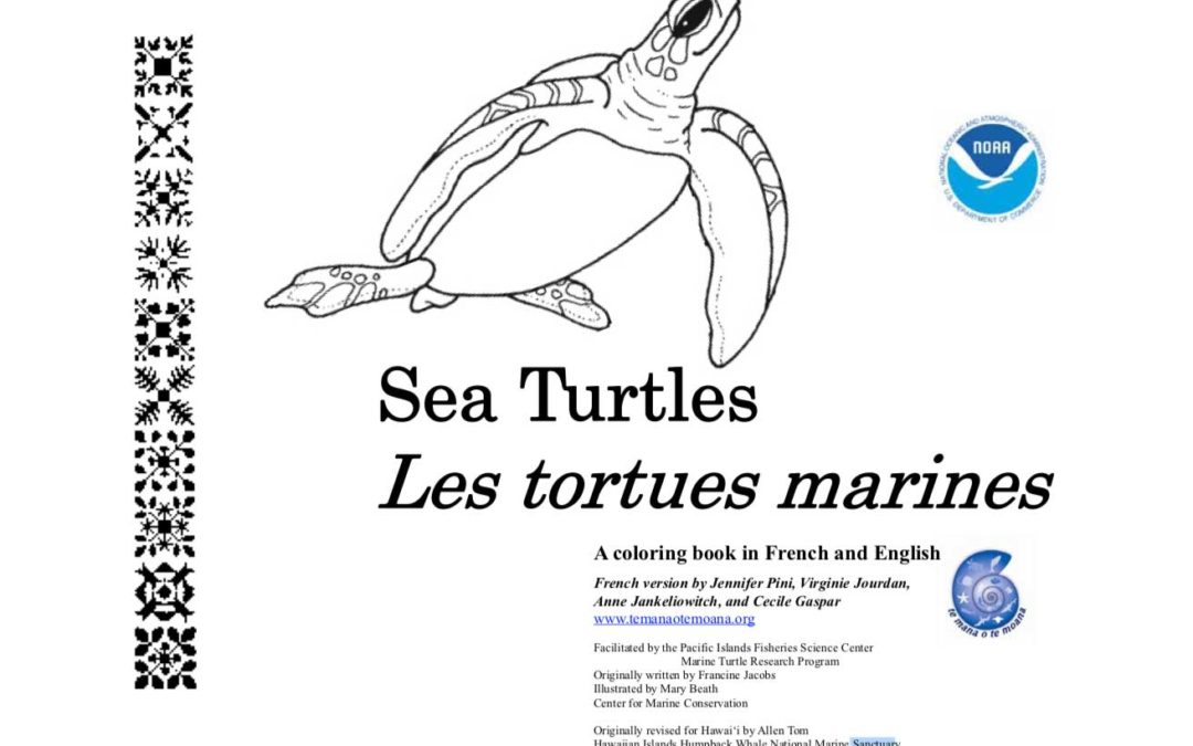 Les tortues marines-Livre de coloriage