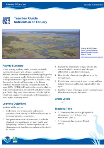 Nutrients in an estuary