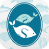 App Hong Kong durable fruits de mer