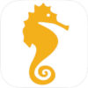 Citizen Science, Seahorse Identification Guide