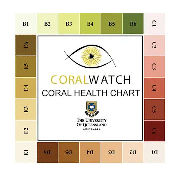 Data Entry CoralWatch