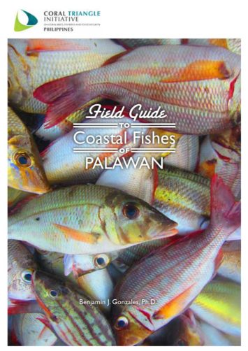 Fish ID, Coral Triangle, Coastal Fishes Philippines