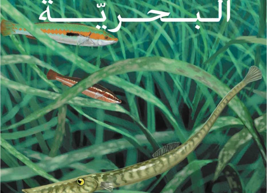 Seagrass picturebook