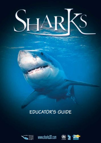 Sharks